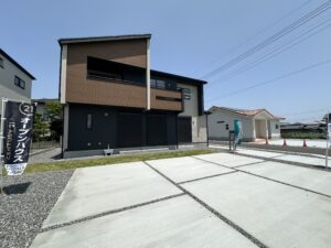 IMG 7446