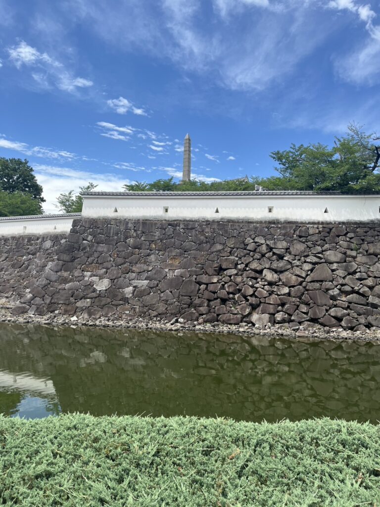 IMG 7631