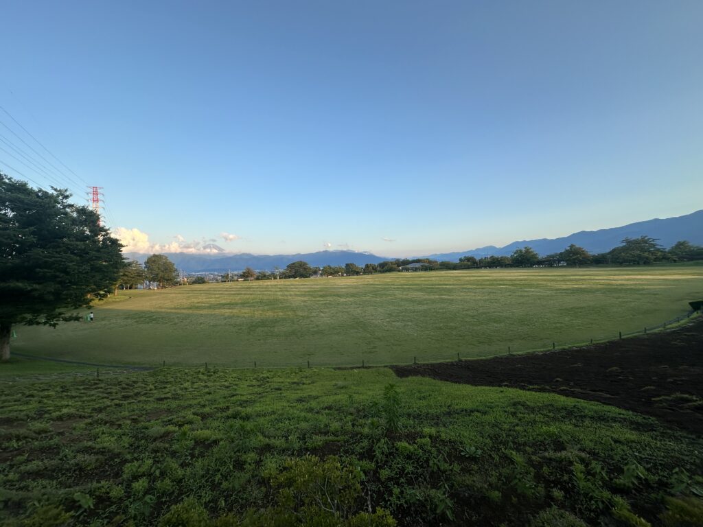 IMG 7923