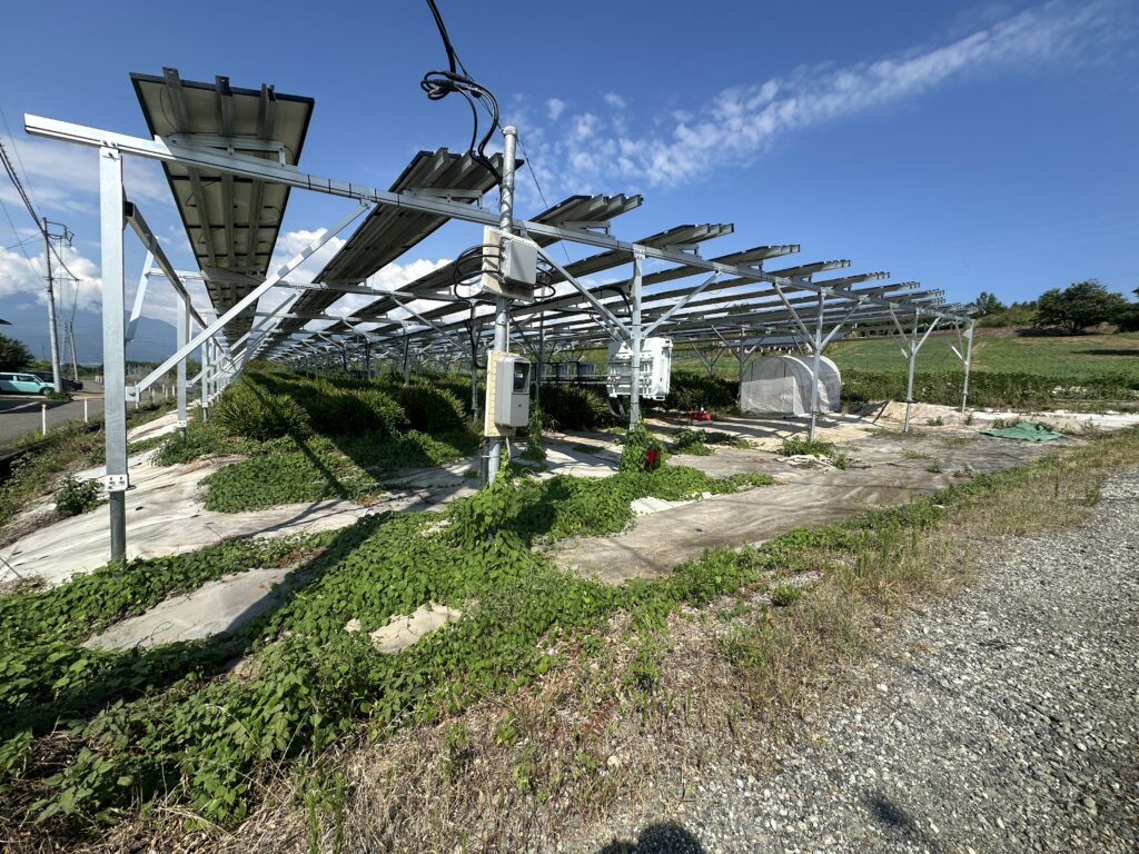 IMG 0299
