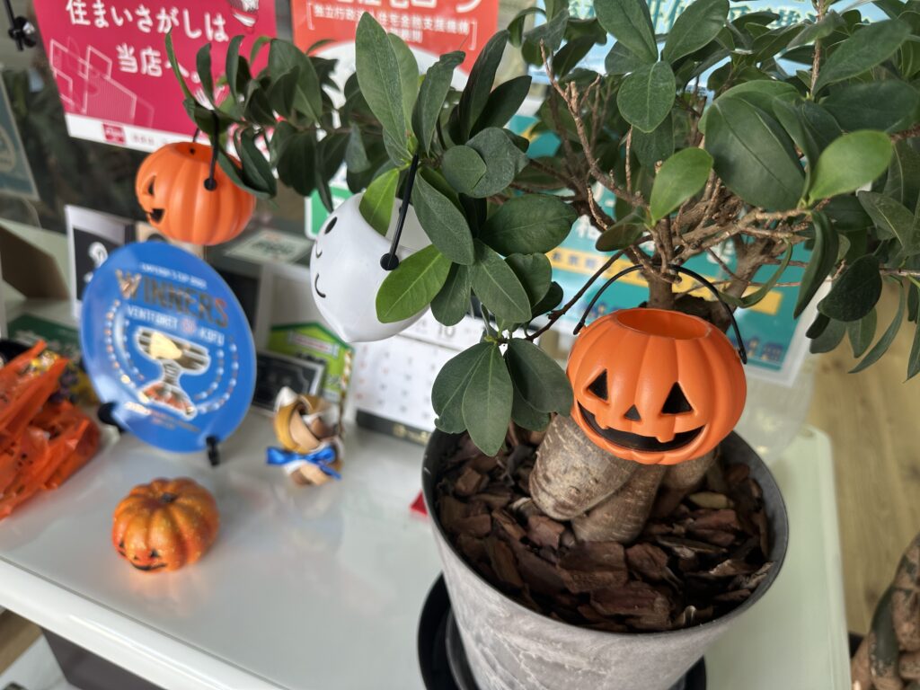 ☆🎃ハロウィンってなに?かわいいランタンと一緒にご紹介!☆ 1 IMG 2543