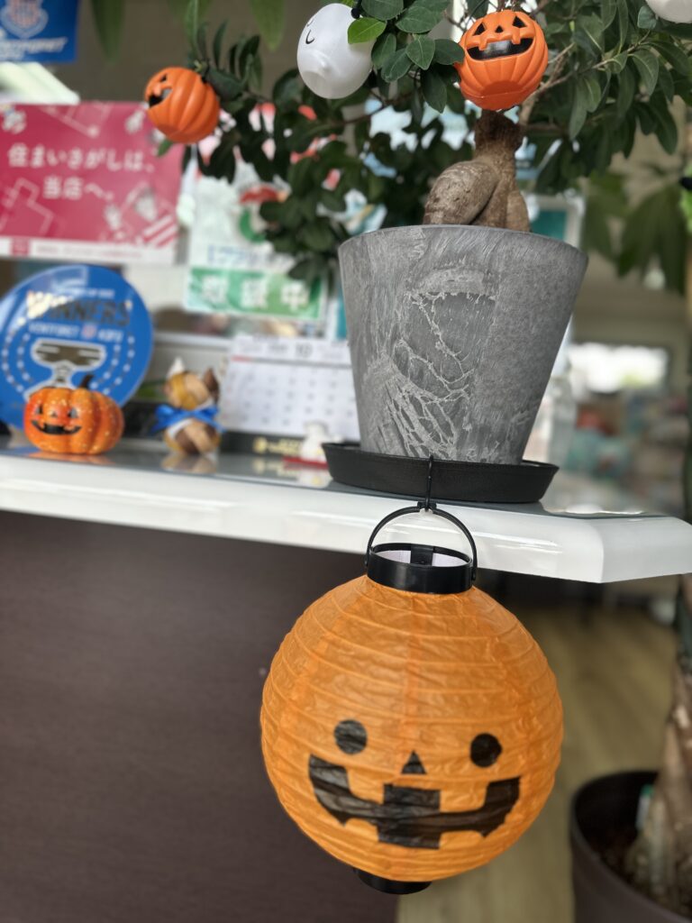 ☆🎃ハロウィンってなに?かわいいランタンと一緒にご紹介!☆ 2 IMG 2545