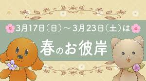 もてぎ不動産 12 ダウンロード 12