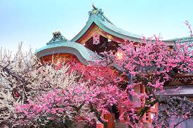 ダウンロード 14